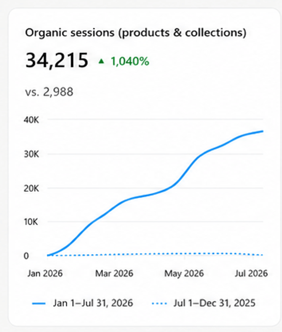 dashboard showing organic traffic result by ecommerce seo